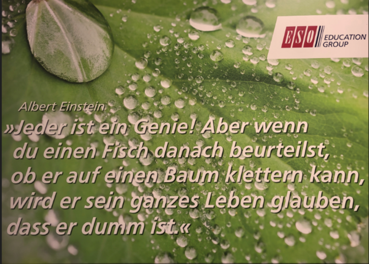 Grünes Blatt mit zahlreichen Wassertropfen und dem Logo der ESO Education Group. Darauf steht ein Albert Einstein zugeschriebenes Zitat: „Jeder ist ein Genie! Aber wenn du einen Fisch danach beurteilst, ob er auf einen Baum klettern kann, wird er sein ganzes Leben glauben, dass er dumm ist.“