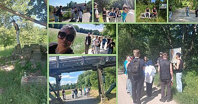 Bildcollage von Schülern bei der Wanderung durch das Naturschutzgebiet der Pegnitz-Auen bei bestem Sommerwetter.