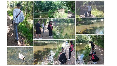 Entspannung in der Natur suchen Entspannung in der Natur suchen